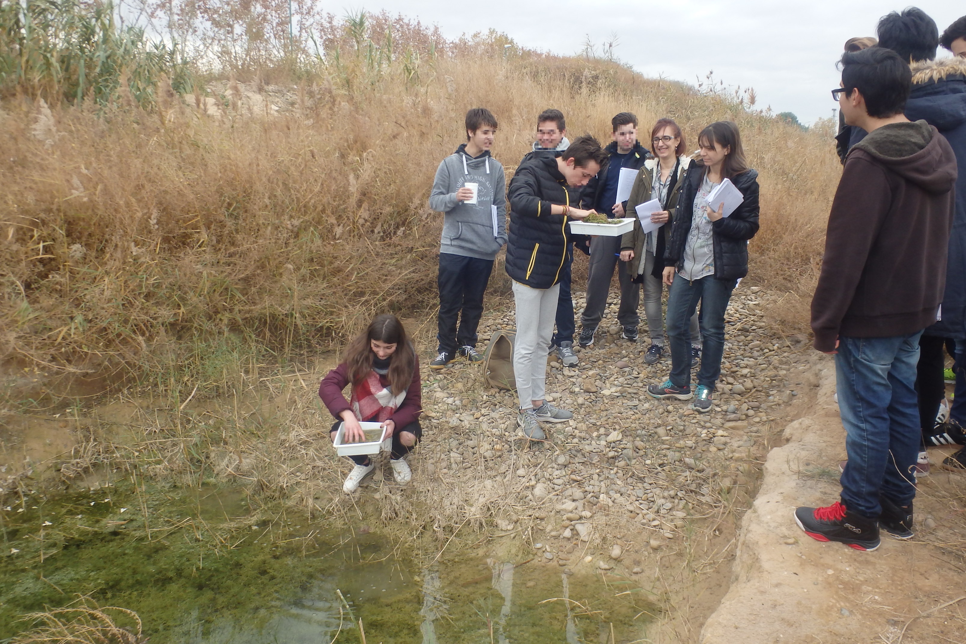 humedal las fuentes pedro cerrada