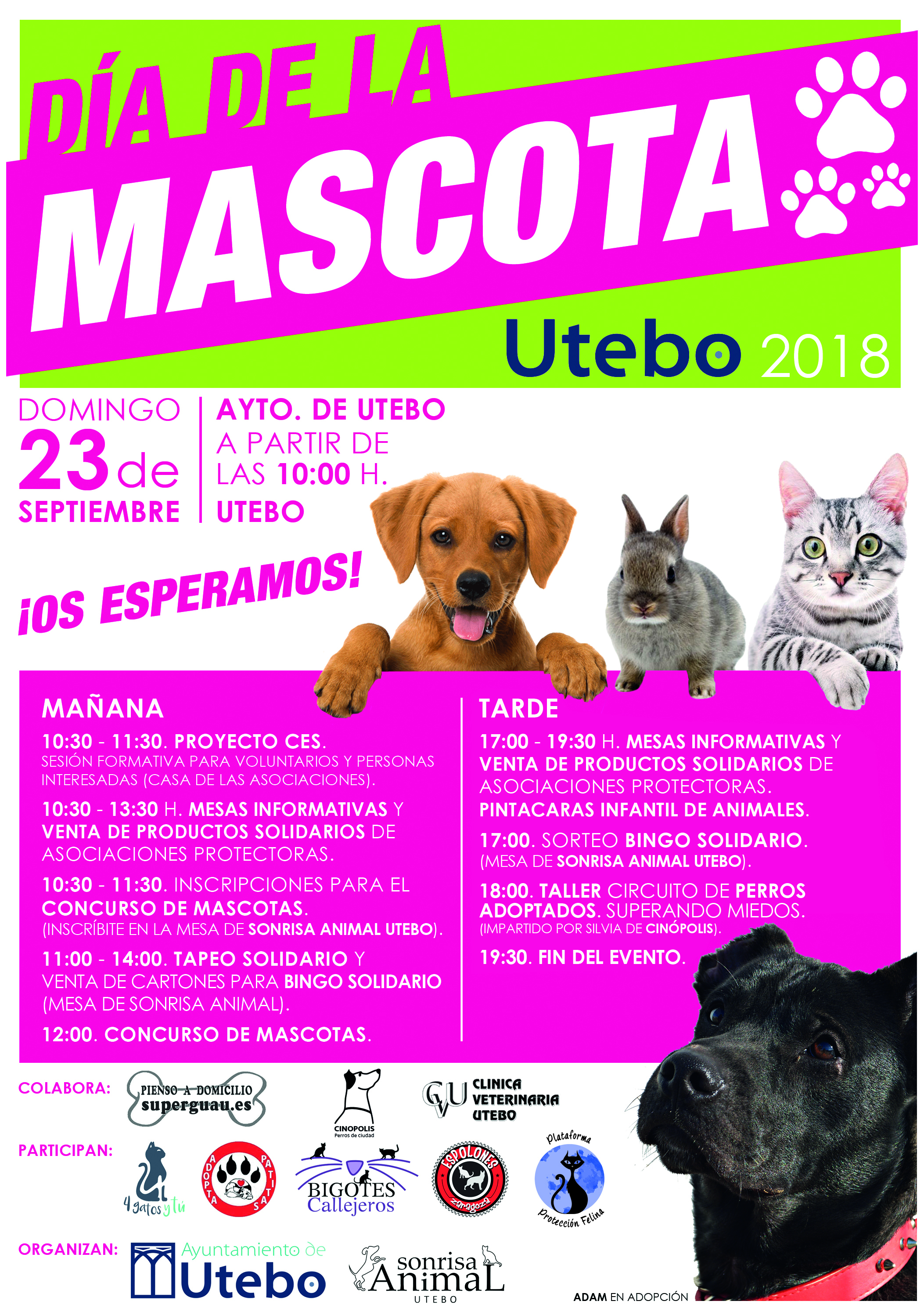 Día mascota